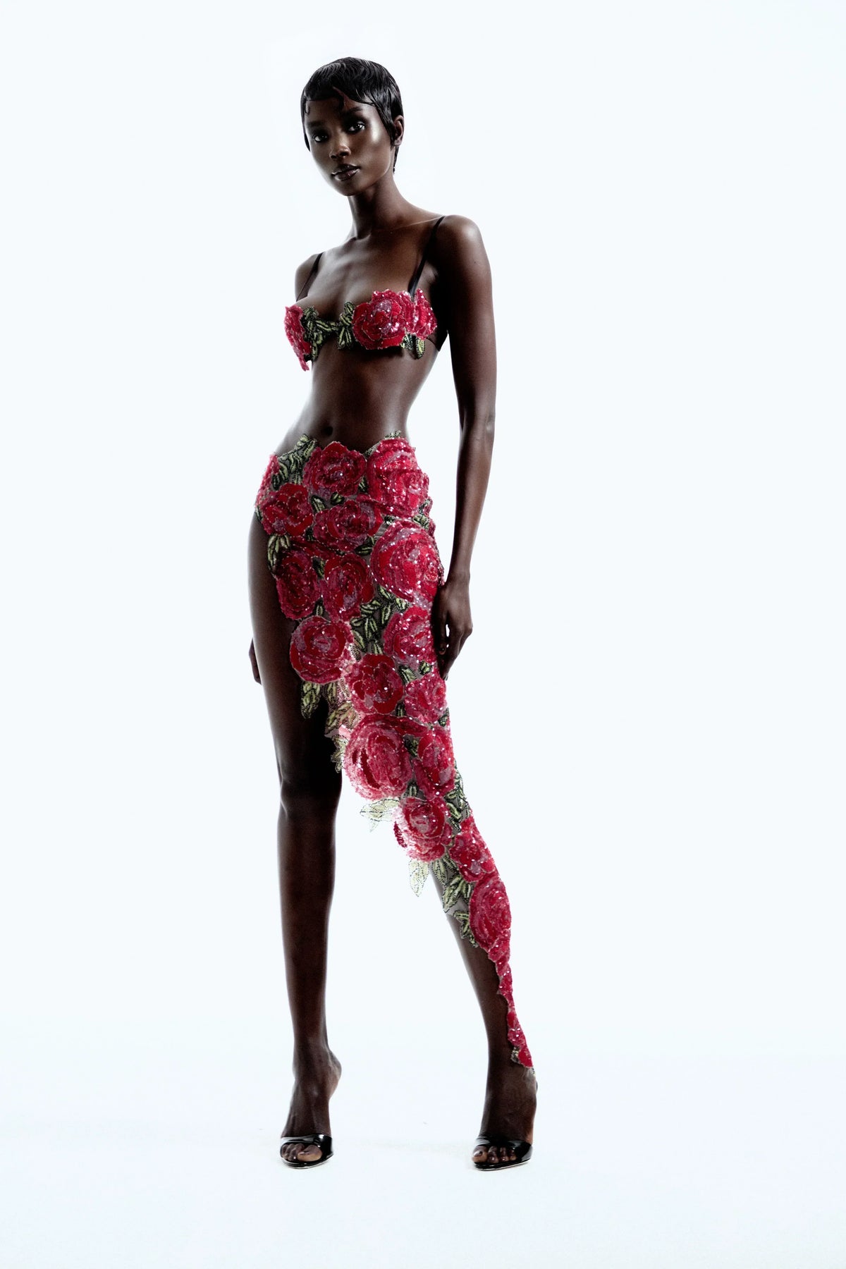 Conjunto damila